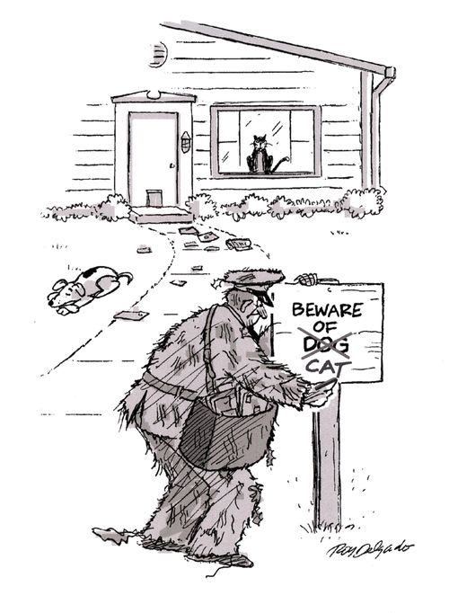 Beware the Cat
