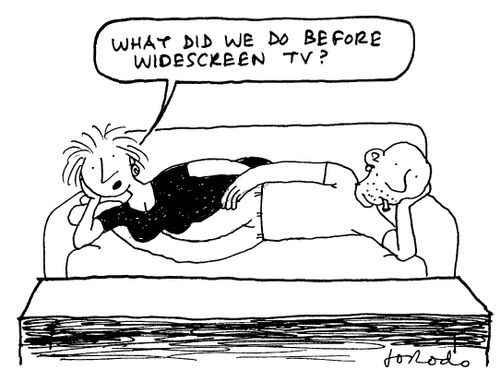 "What did we do before widescreen TV?"