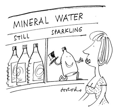 Mineral Water: Still or Sparkling
