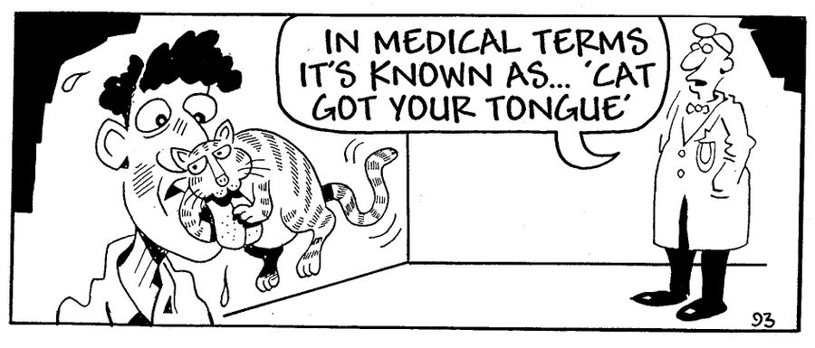 "In medical terms, it's known as 'cat got your tongue'."