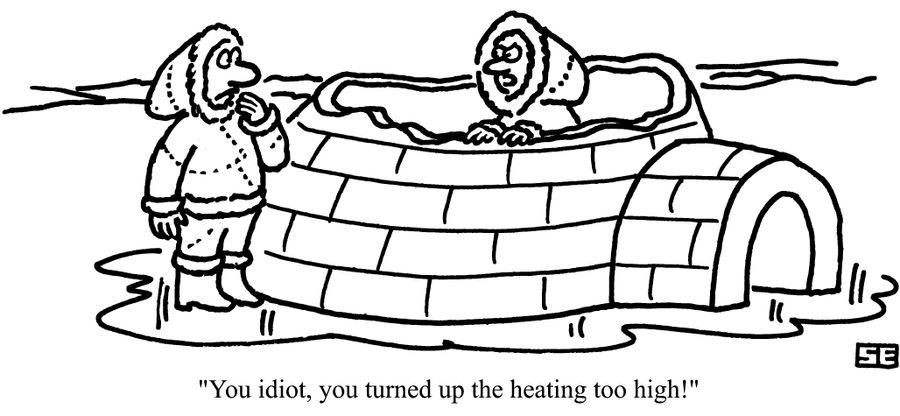 "You idiot, you turned up the heating too high!"