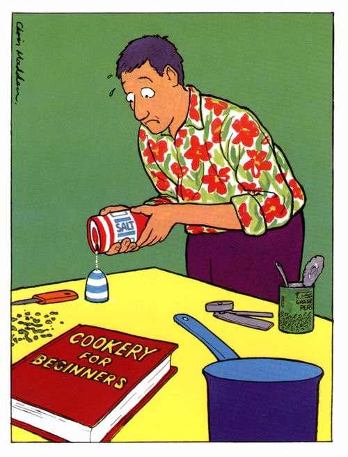 'Cookery for beginners'
