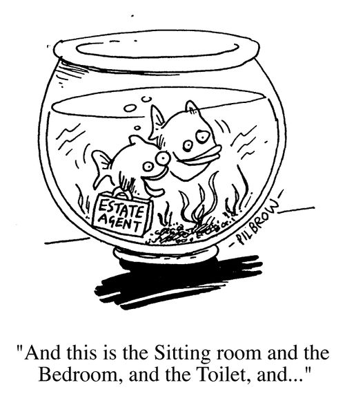 Goldfish in Bowl, "And this is the sitting room and the bedroom and the toilet and...."