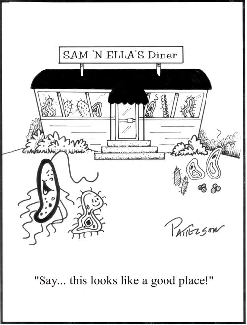 'Say... this looks like a good place!'