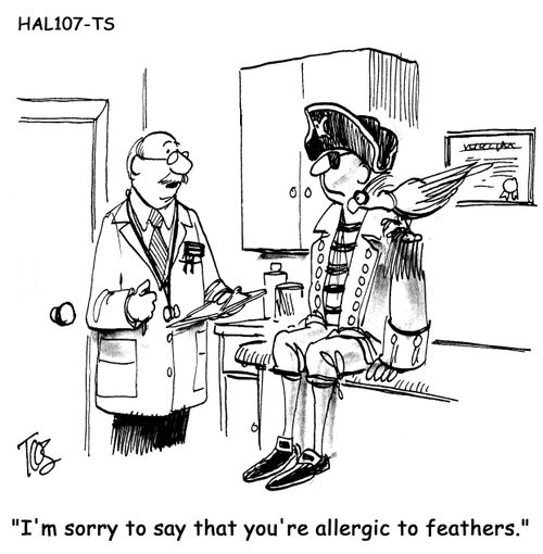 I'm sorry to say that you're allergic to feathers. 
