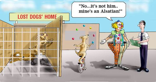 'No it's not him...mine's an Alsatian!'