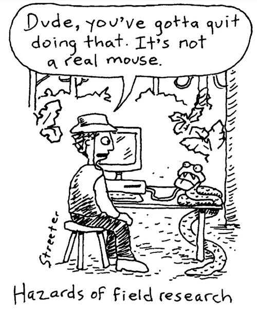Hazards of field research.