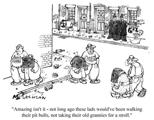 'Amazing isn't it - not long ago these lads would've been walking their pit bulls, not taking their old grannies for a stroll.'