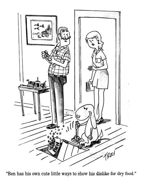 'Ben has his own cute little ways to show his dislike for dry food.'