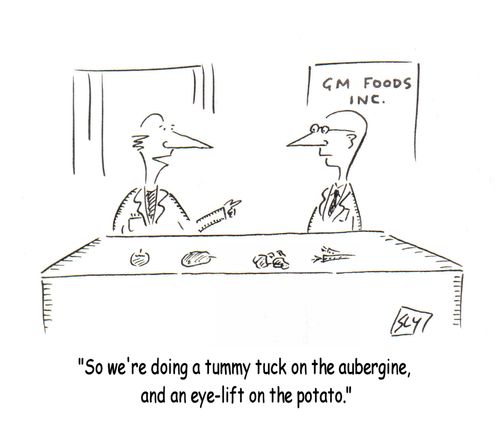 'So we're doing a tummy tuck on the aubergine, and an eye-lift on the potato.'