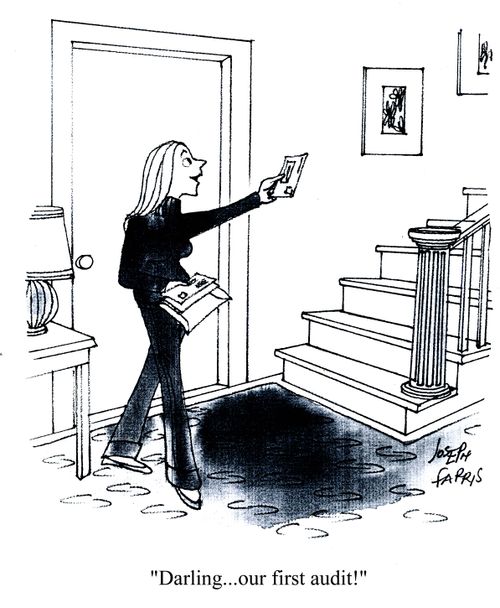'Darling...our first audit!'
