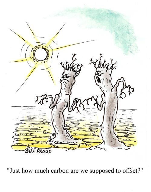 'Just how much carbon are we supposed to offset?'
