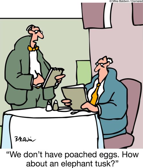 We don't have poached eggs. How about an elephant tusk?'