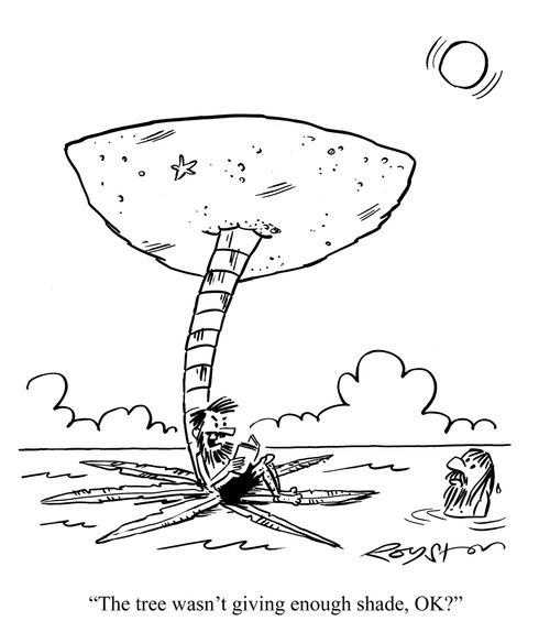 Castaway has turned desert island upside down. He says to another man: 'The tree wasn't giving enough shade, OK?'