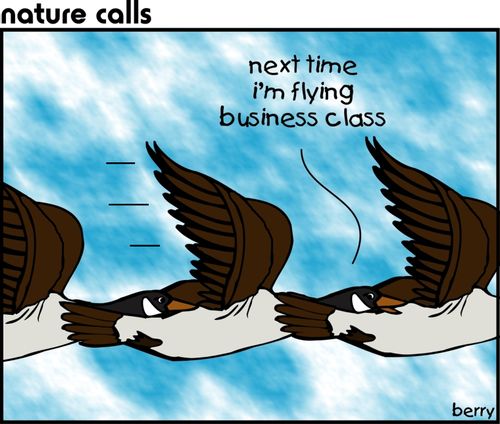 "Next time, I'm flying business class."