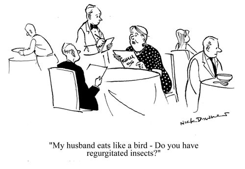 'My husband eats like a bird - Do you have regurgitated insects?'