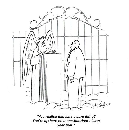 'You realise this isn't a sure thing? You're up here on a one-hundred billion year trial.'