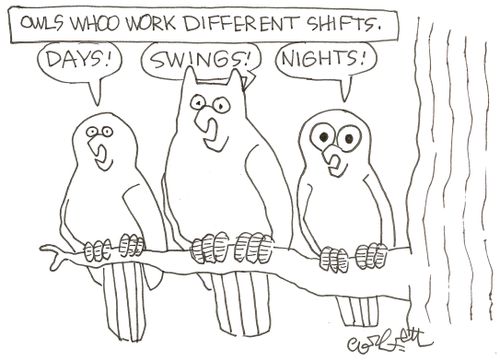 Owls whoo work different shifts...'Days!'...'Swings!'...'Nights!'