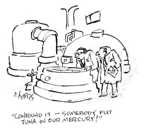 'Confound it - somebody put tuna in our mercury.'