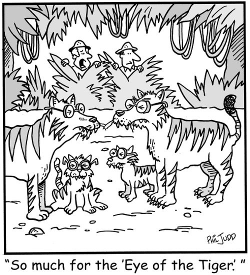 'So much for the 'Eye of the Tiger'.'