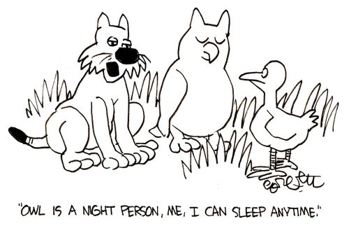 'Owl is a night person. Me, I can sleep anytime.'