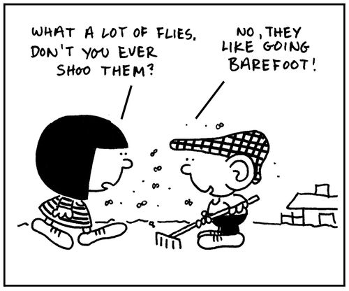 'What a lot of flies.'