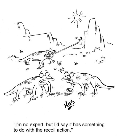 'I'm no expert, but I'd say it has something to do with the recoil action.'
