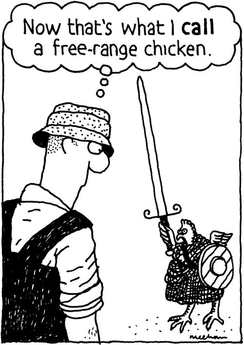 'Now that's what I CALL a free-range chicken'