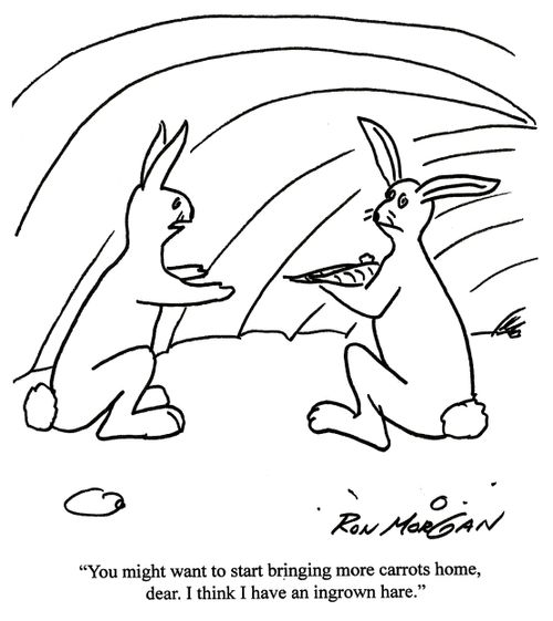 'You might want to start bringing more carrots home, dear. I think I have an ingrown hare.'
