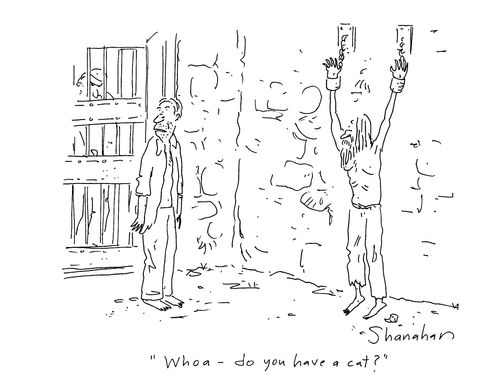 'Whoa, do you have a cat?'