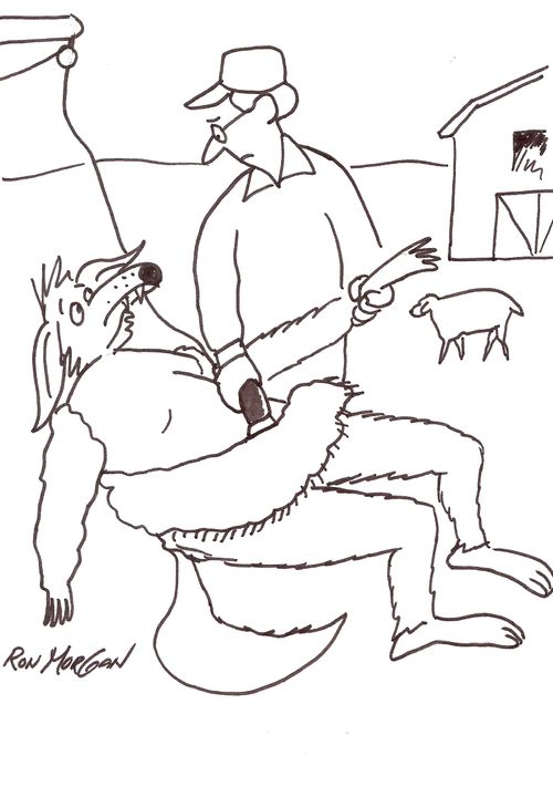 Sheep shearer discovers wolf in sheep's clothing.