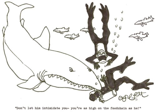 'Don't let him intimidate you - you're as high on the foodchain as he'