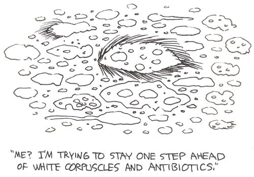 'Me?  I'm trying to stay one step ahead of white corpuscles and antibiotics.'