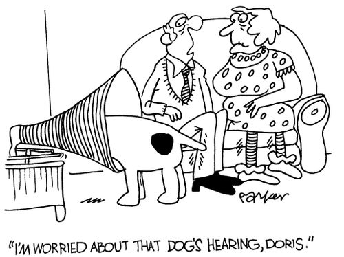 'I'm worried about that dog's hearing,Doris.'