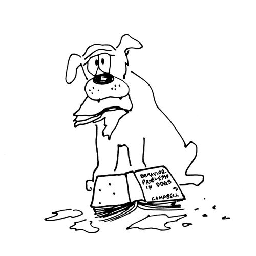 Behavior Problems In Dogs.