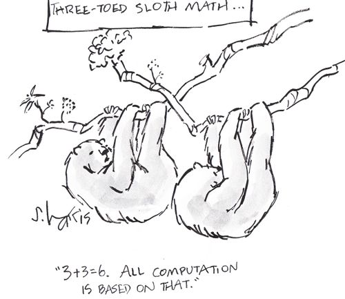 'Three-toed sloth math...'  '3+3=6.  All computation is based on that.'