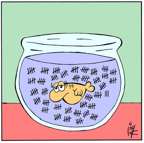 Fish in a bowl counting time.