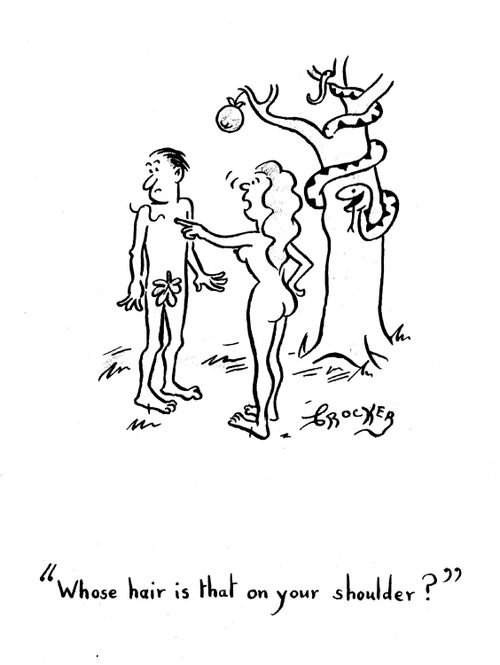 'Whose hair is that on your shoulder?'.