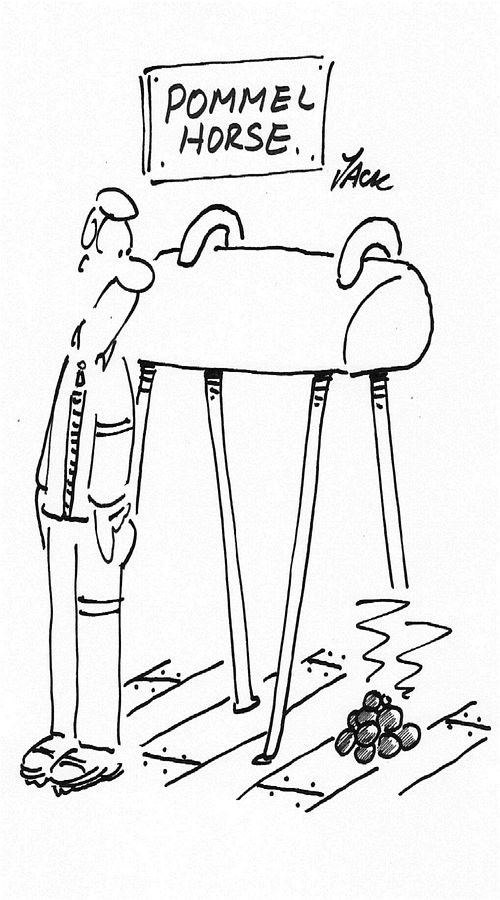 Pommel Horse Poops.