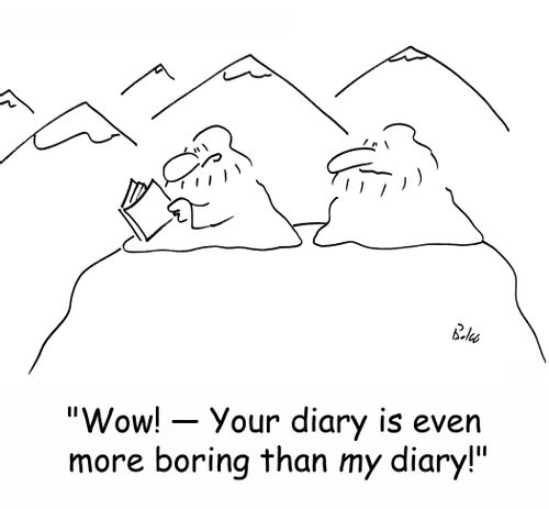 'Wow! - Your diary is even more boring than MY diary!'