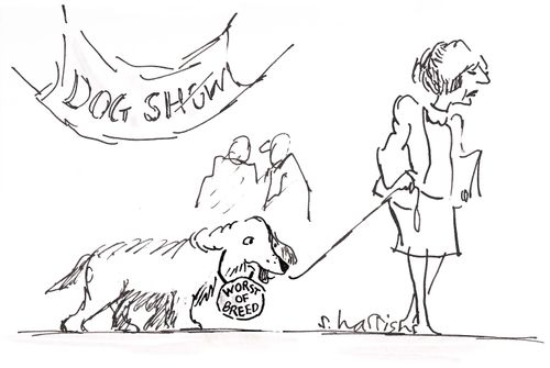 Dog wins 'Worst of Breed' prize.