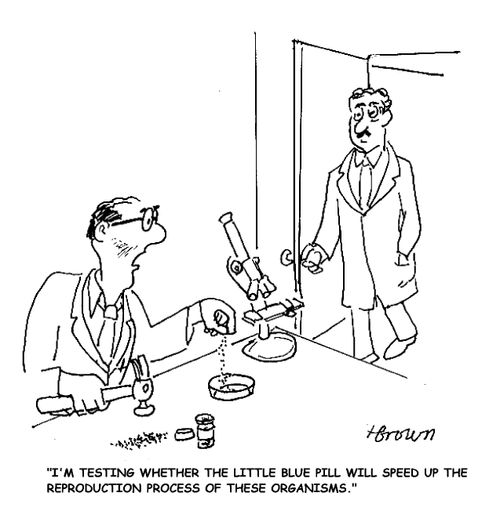 'I'm testing whether the little blue pill. Will speed up the reproduction process of these organisms.'