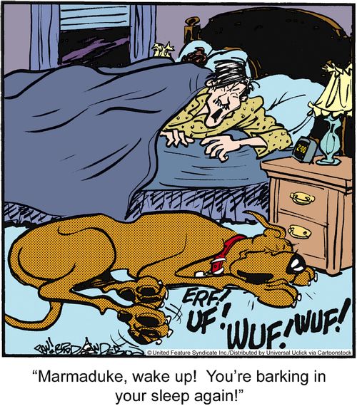 'Marmaduke, wake up! You're barking in your sleep again!'
