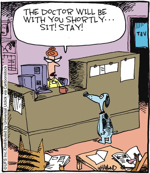 'The doctor will be with you shortly. . . Sit! Stay!'