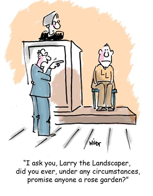 'I ask you, Larry the Landscaper, did you ever, under any circumstances, promise anyone a rose garden?'