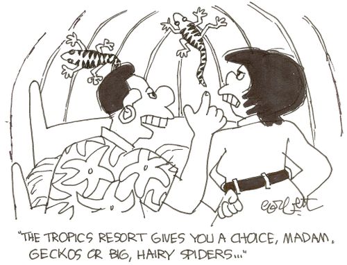 'The Tropics Resort gives you a choice, Madam, geckos or big, hairy spiders...' 