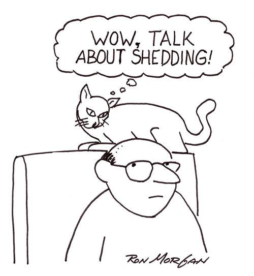 'Wow, talk about shedding!'