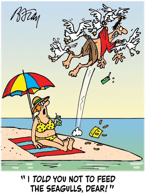 'I told you not to feed the seagulls, Dear!'