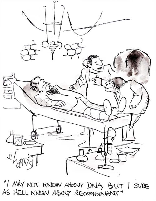'I may not know about DNA, but I sure as hell know about recombinant.'