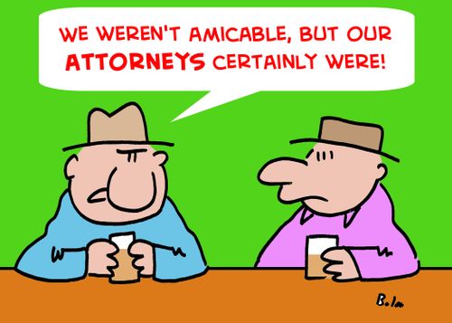 'We weren't amicable, but our attorneys certainly were.'